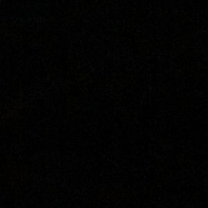 Meet your Posher, Rose